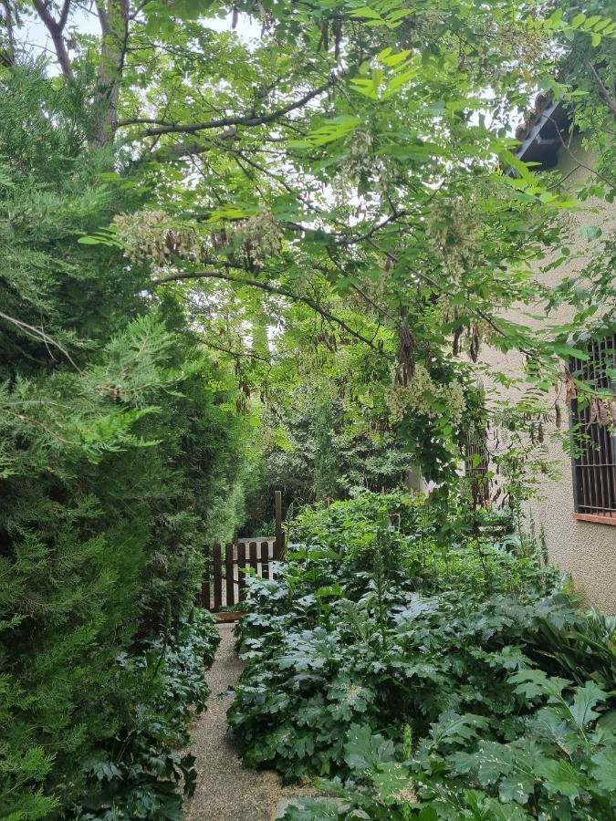 Villa El Correc Laroque-des-Albères 外观 照片
