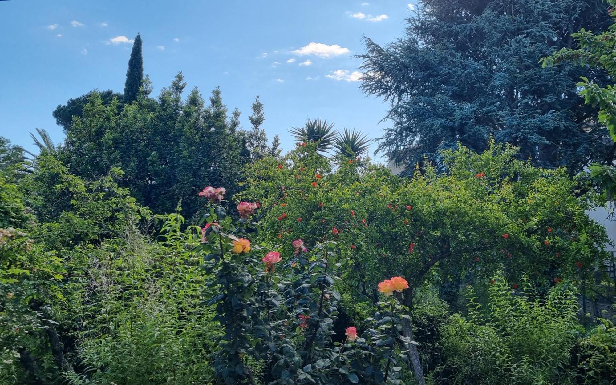 Villa El Correc Laroque-des-Albères 外观 照片